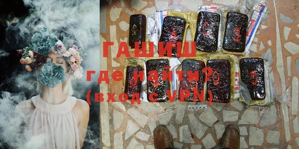 сатива Туринск