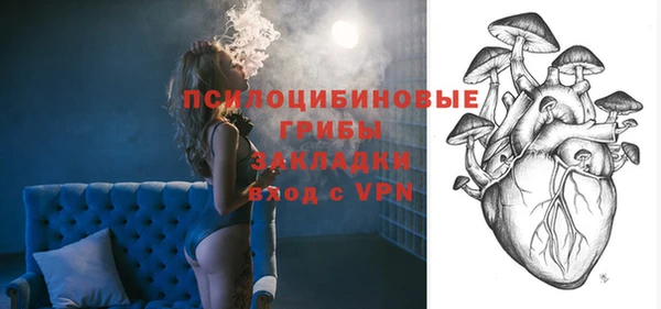 сатива Туринск