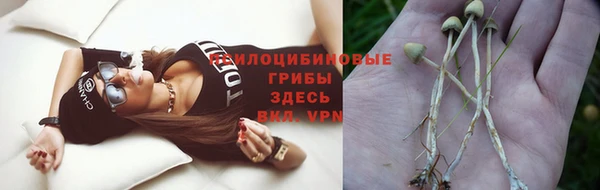 сатива Туринск