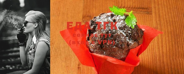 сатива Туринск