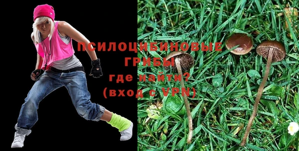 сатива Туринск