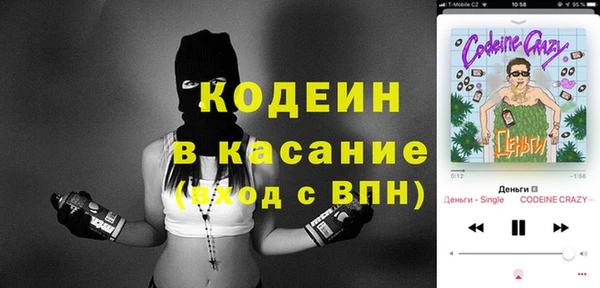 сатива Туринск