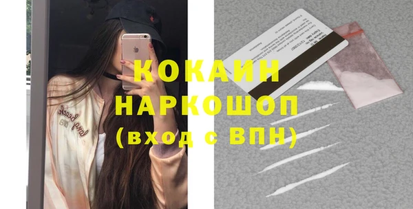 сатива Туринск