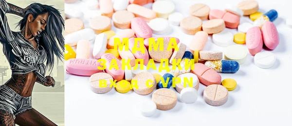 сатива Туринск